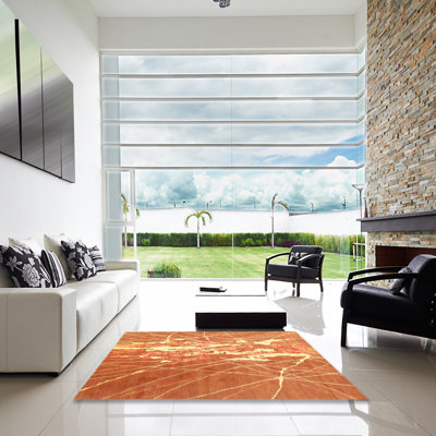 Indoor Rug