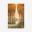 Golden Forest I by Timothy O' Toole - Painting-464091731-464091729
