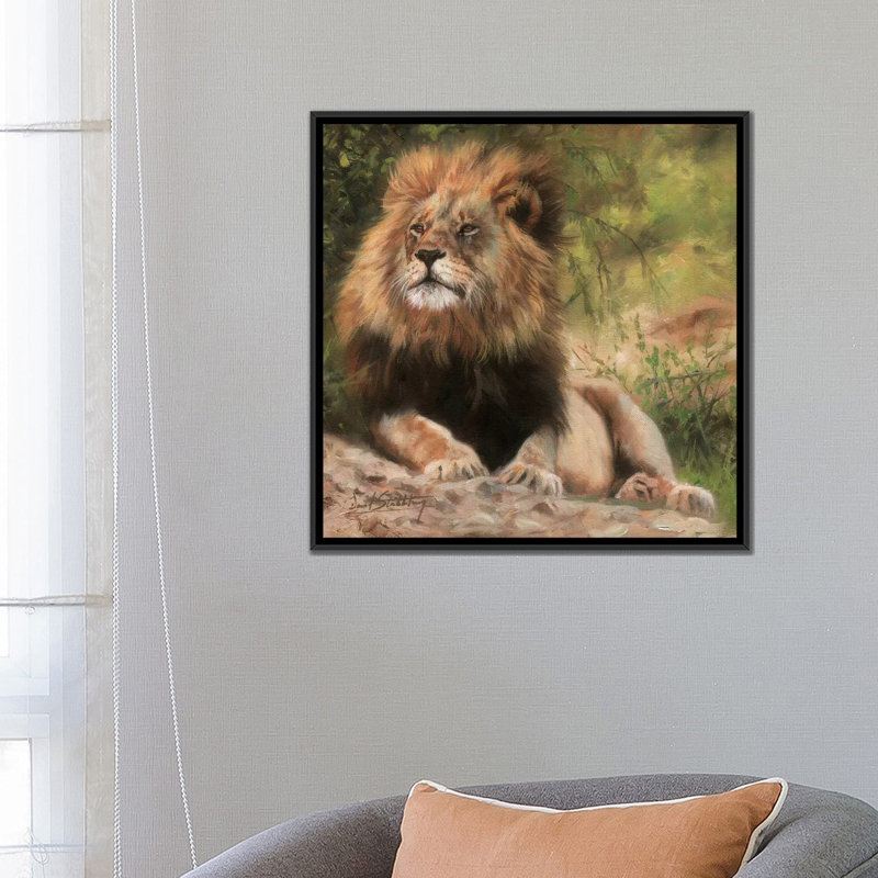 «Lion Laying Down», impression sur toile, H 18 po x l 18 po x P 1,5 po, Toile avec cadre noir, Pas de tapis
