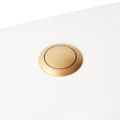 Push Button Flush Actuator