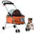 Orange is out of stock