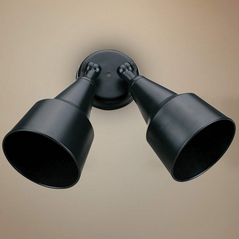 Lamagna Outdoor Security Flood Light, Black