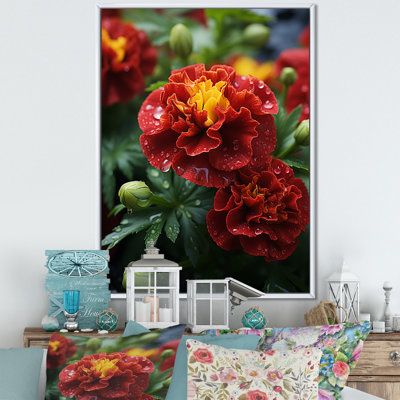 Red Marigold Medley - art mural souci