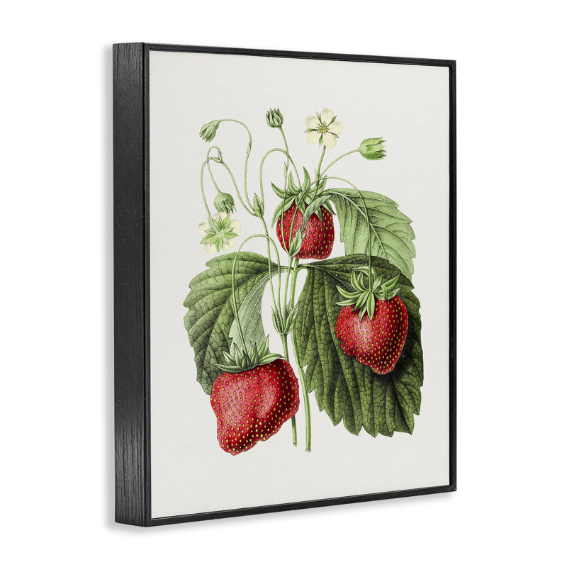 Étude de fraises rétro par lettrage et doublure, H 30 po x l 24 po, Giclée encadrée noir minuit