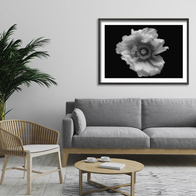 Nature Inspired Poppy in Mono by Lotte Grønkjær - Picture Frame Photograph on Paper