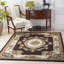 Conte Oriental Synthetic Area Rug-1417759238