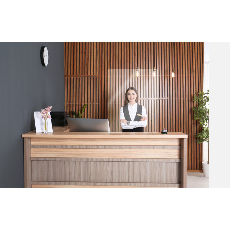 Polycarbonate 1 Panel Sneeze Guard with Pass Through Window, 18" H x 24" W x 2" D