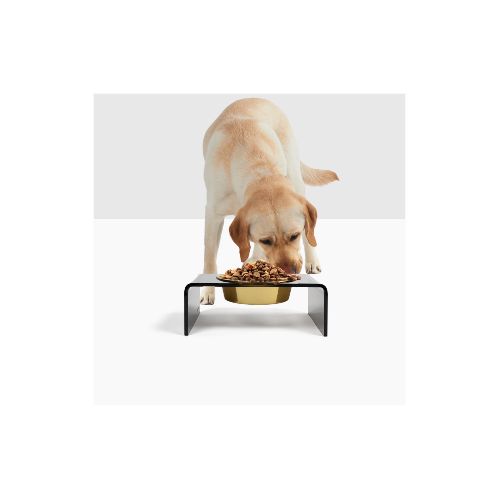 Single Bowl Elevated Feeder with Bowl, Gold, Smoke Grey