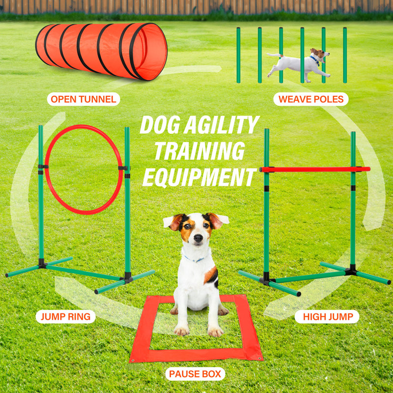 Orange and Green Dog Agility Training Set with Tunnel and Hurdles