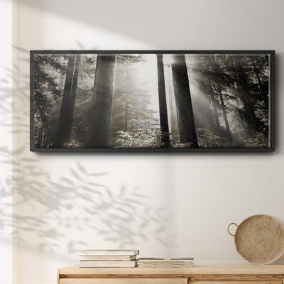 «Morning Light», reproduction sur toile encadrée