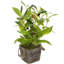 14'' Faux Plant in Pot