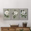 Botanical Magnolia - ensemble de 3 reproductions sur toiles tendues-1764003210
