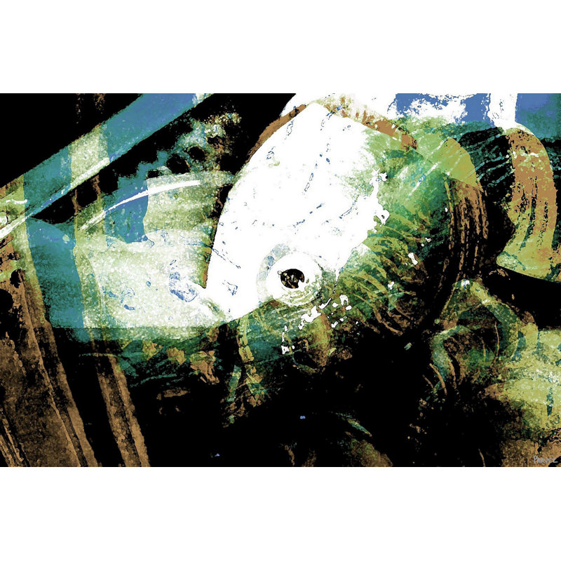Parvez Taj - Wrapped Canvas Print, 41cm H x 61cm W
