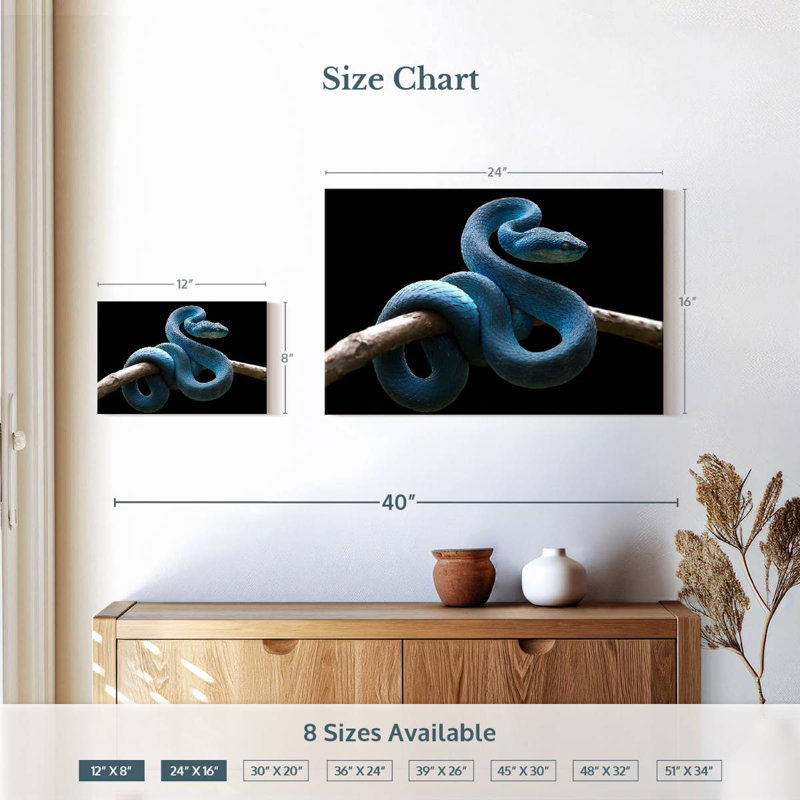 Brampt Blue Viper Snake, 16" H x 24" W