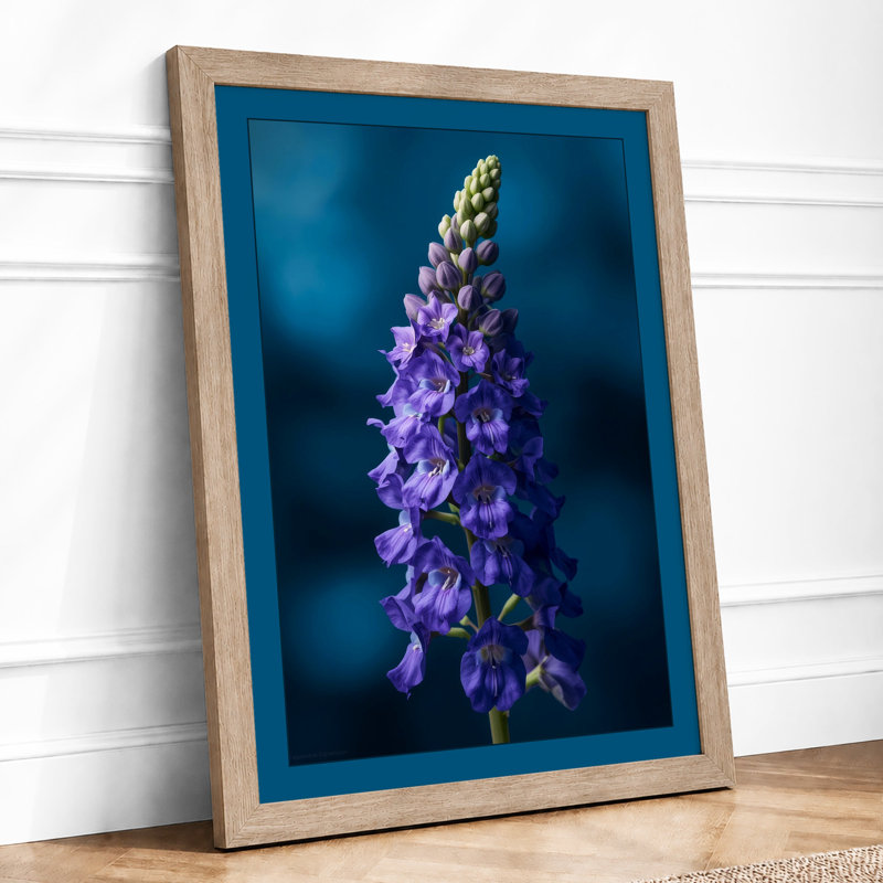 Lupine Study Botanical - Framed Print, Oak, A4 - 29.7 x 21.0 cm