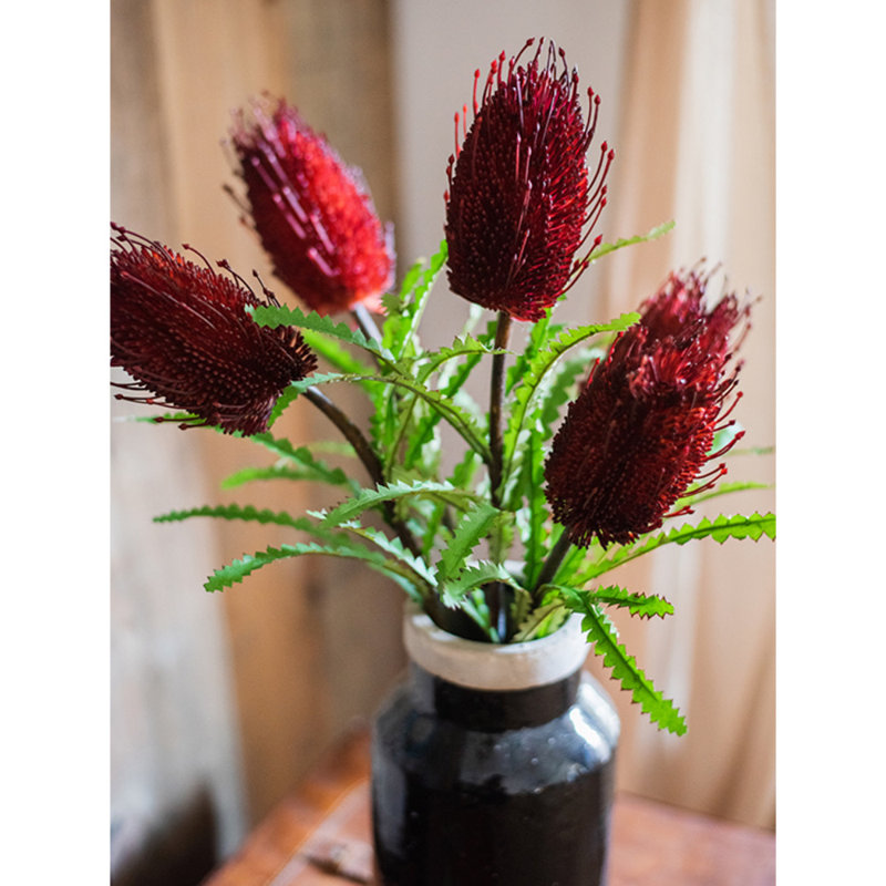 Tige de integrifolia pins, Cinq tiges, Rouge