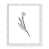 White Wood Framed Paper is unavailable