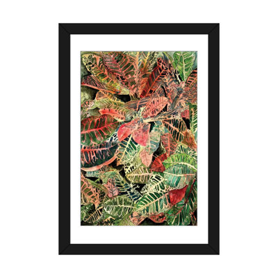 « croton botanique », impression sur toile