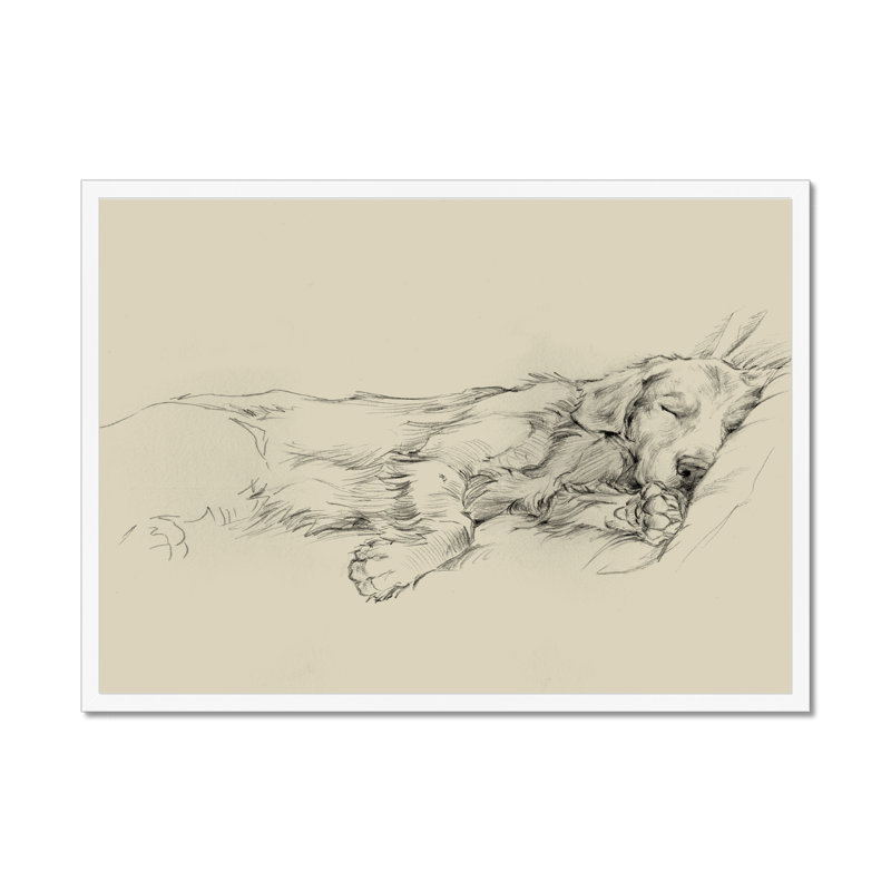 Dog Days III by Ethan Harper - Print, White Framed Paper Print, 65cm H x 95cm W