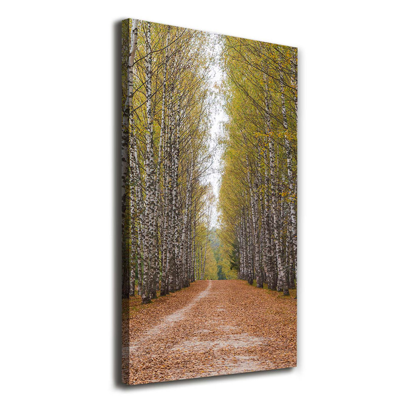 Birch Forest - Wrapped Canvas Print