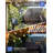 Berenize Outdoor LED Solar Powered 30 - Bulb Fairy String Light