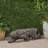 Leopard Lightweight Concrete Bench