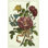 Floral Floral II