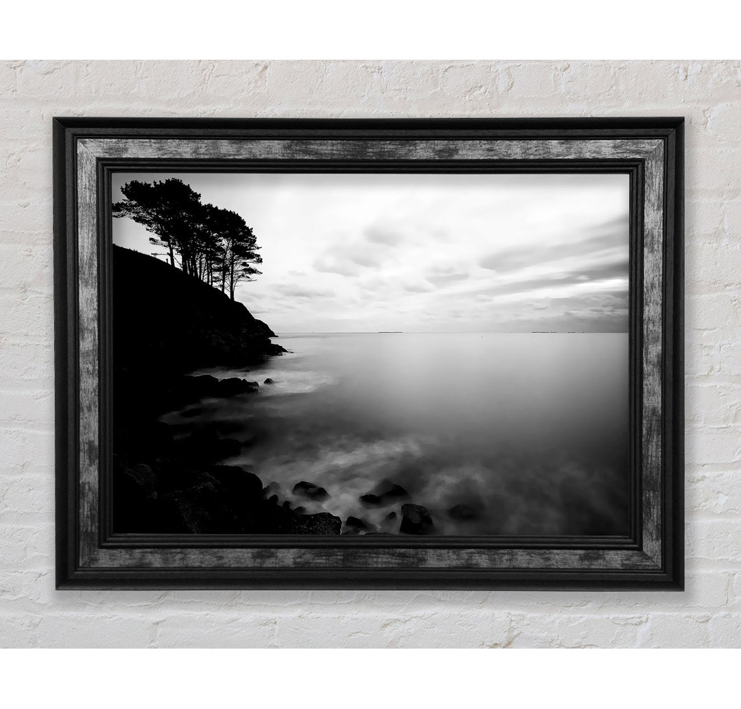 Gerahmtes Poster Tree Top Ocean Calm B N W