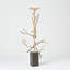 Twig C/H-22329289-22329290