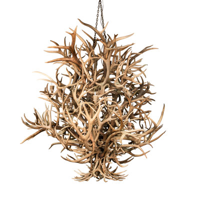 Lustre unique et remarquable à 16 lumières avec bois de cerf