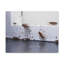 No Frame Print on Canvas-100038397