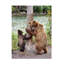 Art sur toile bolologien, Martin Groth-109321150