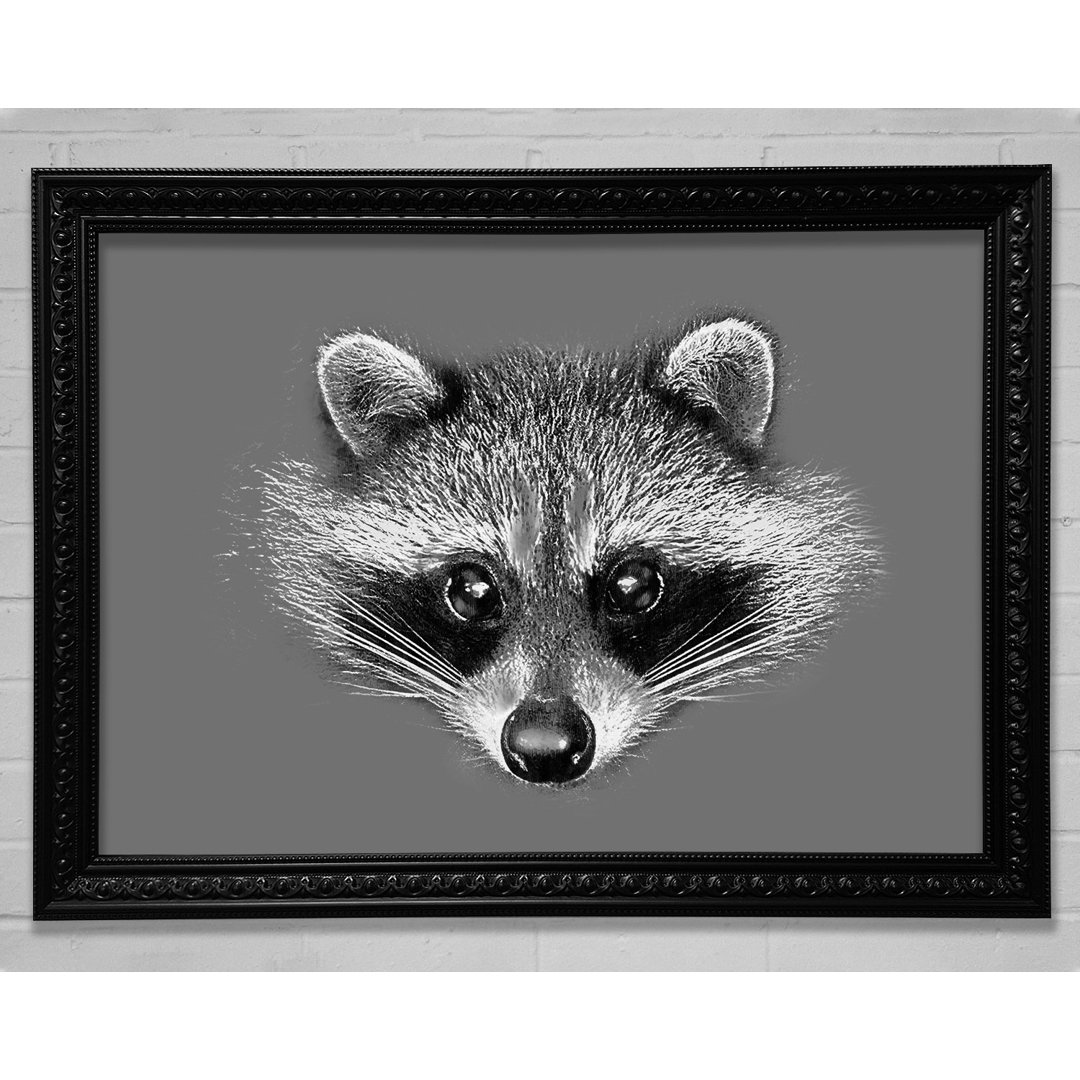 Raccoon On Grey - Einzelnes Bild auf Leinwandbild gerahmt