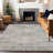 Premium Machine Washable Prisco Taupe Rug-1514137134