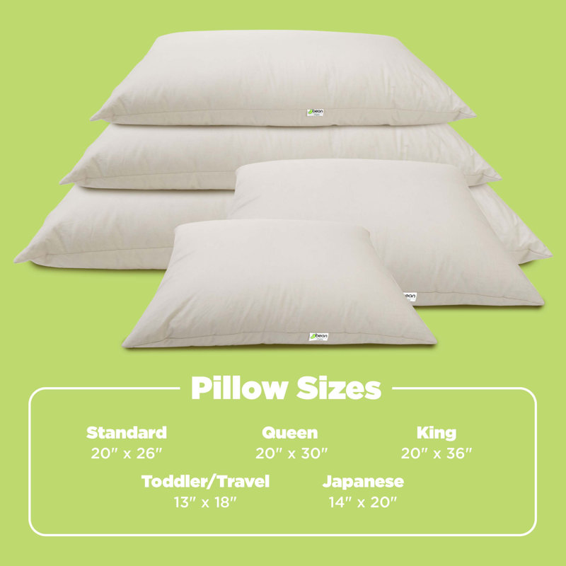 Organic Kapok Pillow with Cover - Organic Cotton Fabric and Fill Soft Pillowcase with Zipper, Child