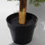 Anlin 95cm Faux Cypress Tree in Pot