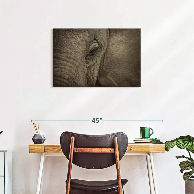 Brampt African Elephant Eye, 20" H x 30" W