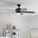 Nyxton 52'' Ceiling Fan with LED Lights