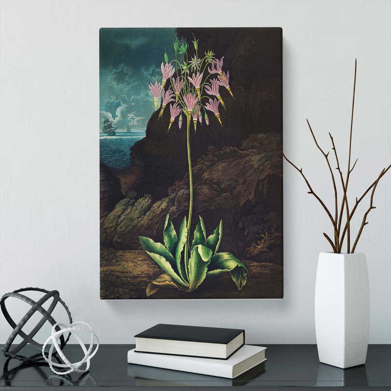 American Cowslip Plant - Wrapped Canvas Painting, 50cm H x 35cm W x 3cm D