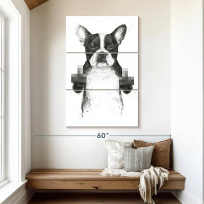 Brampt Censored Dog
