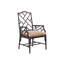 Island Estate Ceylon Arm Chair-1935982725