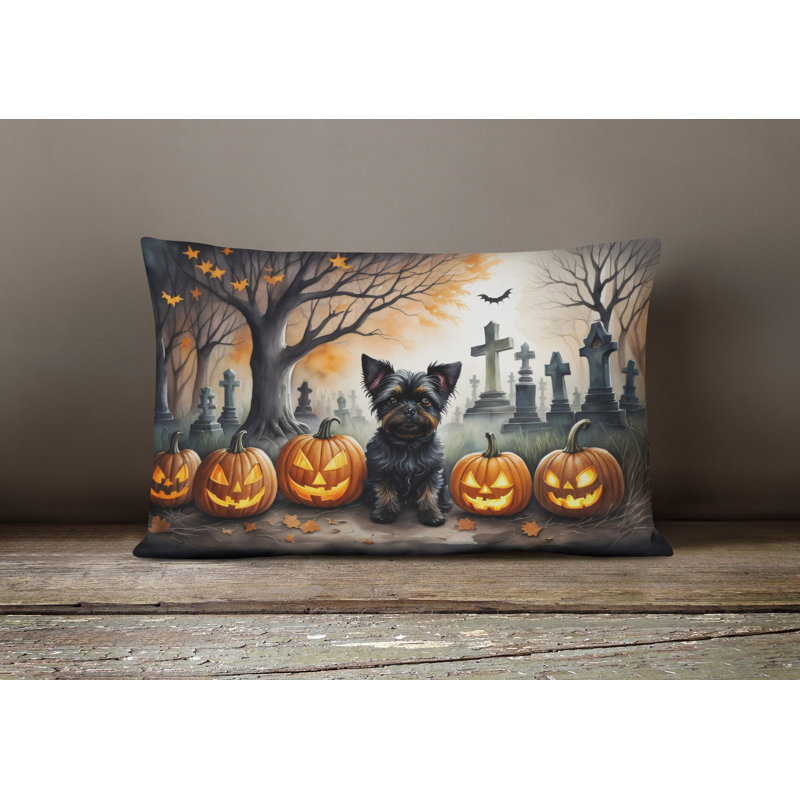 Other/No Pattern Outdoor Throw Pillow