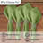  Celery Casual Classics Napkin Set of 4-2047100524