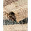 Tapis Tula Tayley-464144204