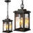 10'' Hardwired Outdoor Hanging Light-100015605