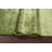 One-of-a-Kind 4'9" x 7'10" Rectangle Jute / Sisal Area Rug in Green