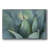 " Blue Agave I "-92482192-92482191