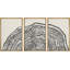 Duotone, bois noir, anneau, souche, neutre, art mural encadré sur toile, 3 pièces, reproduction d'art-1383408413-1383408412