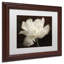 « white tulip ii », reproduction de photo sur toile encadrée-32707271-32707274