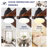 Ceiling Fans With Lights-444852505-444852517-444852512